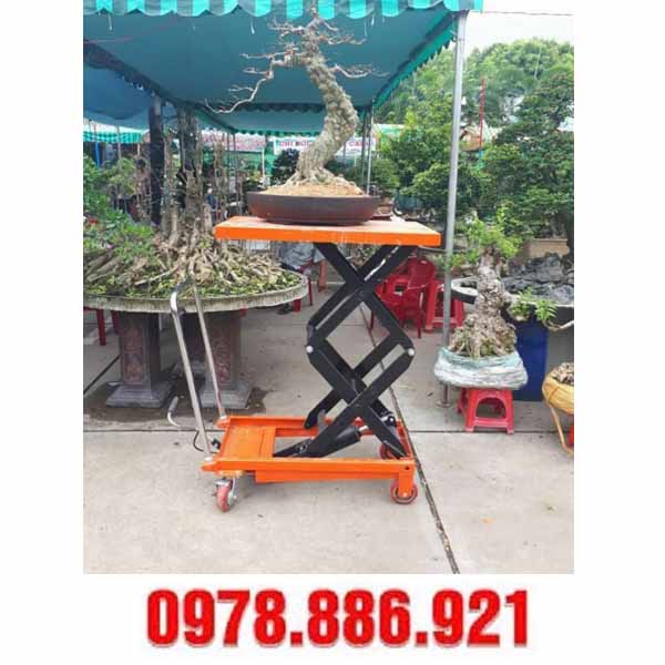 xe nâng cây cảnh tại Nam Định