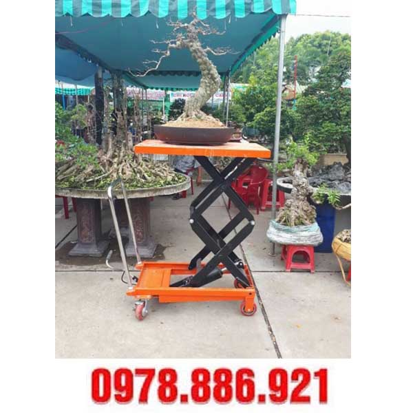 xe nâng cây cảnh tại Hải Phòng
