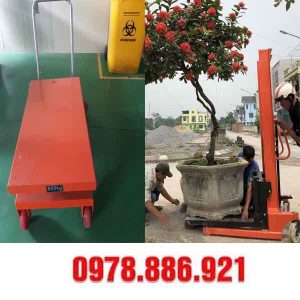 xe nâng cây cảnh