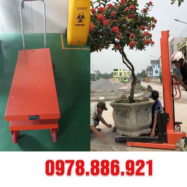 xe nâng cây cảnh