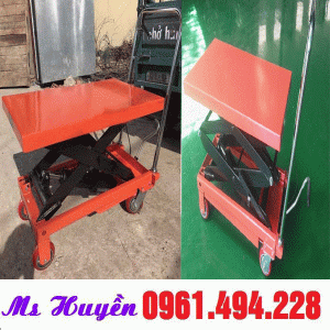xe nâng mặt bàn tại hải hậu
