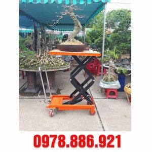 xe nâng cây cảnh tại Nam Định
