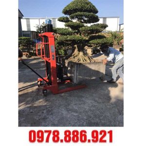 xe nâng cây cảnh tại Nam Định