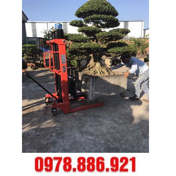 xe nâng cây cảnh tại Nam Định