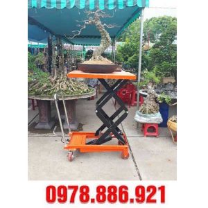 xe nâng cây cảnh tại Hải Phòng
