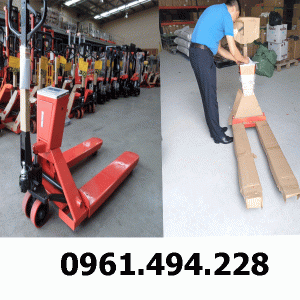 Xe nâng gắn cân tại bình dương