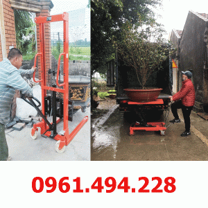 Xe nâng chậu cảnh tại bình dương